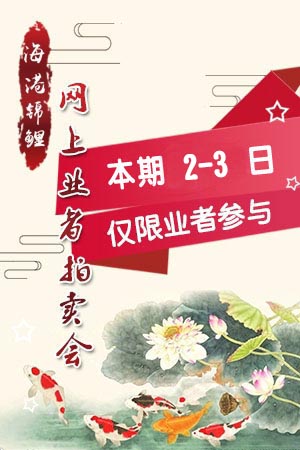 YZ74010 菅野产 Kanno（附视频）