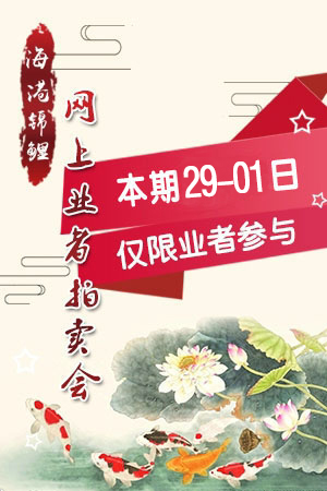 YZ78005（附视频）