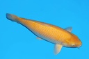 342004.JPG