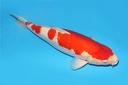 342021.JPG