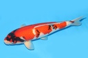 342044.JPG