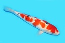 342049.JPG