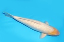 342053.JPG