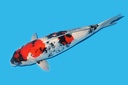 342054.JPG