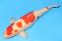 343046.JPG
