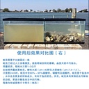 蚝壳 03.jpg