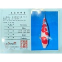 adaa86ce30d4451d8f86e16a659e865.jpg