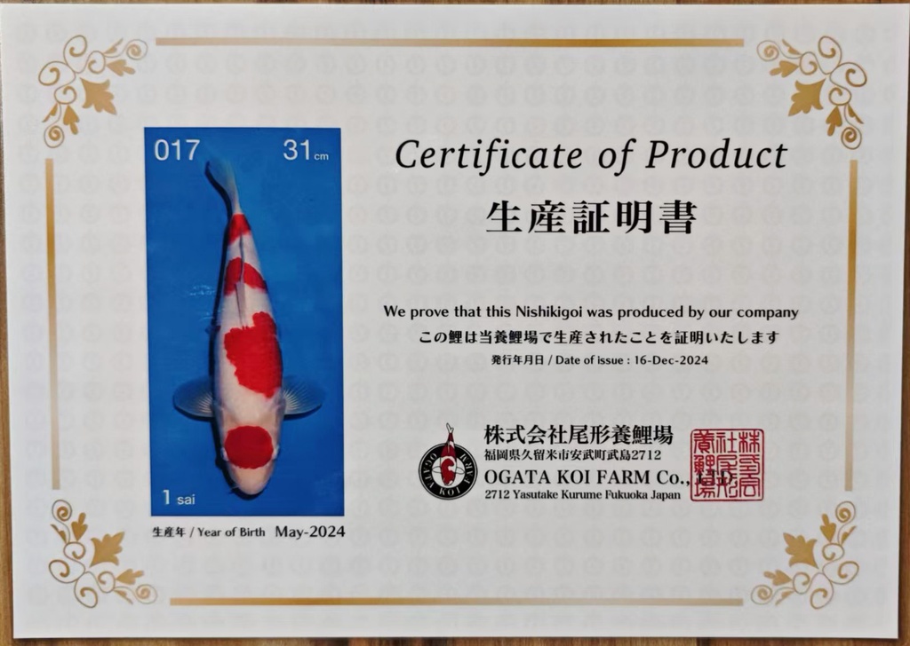 微信图片_202503131717091.jpg
