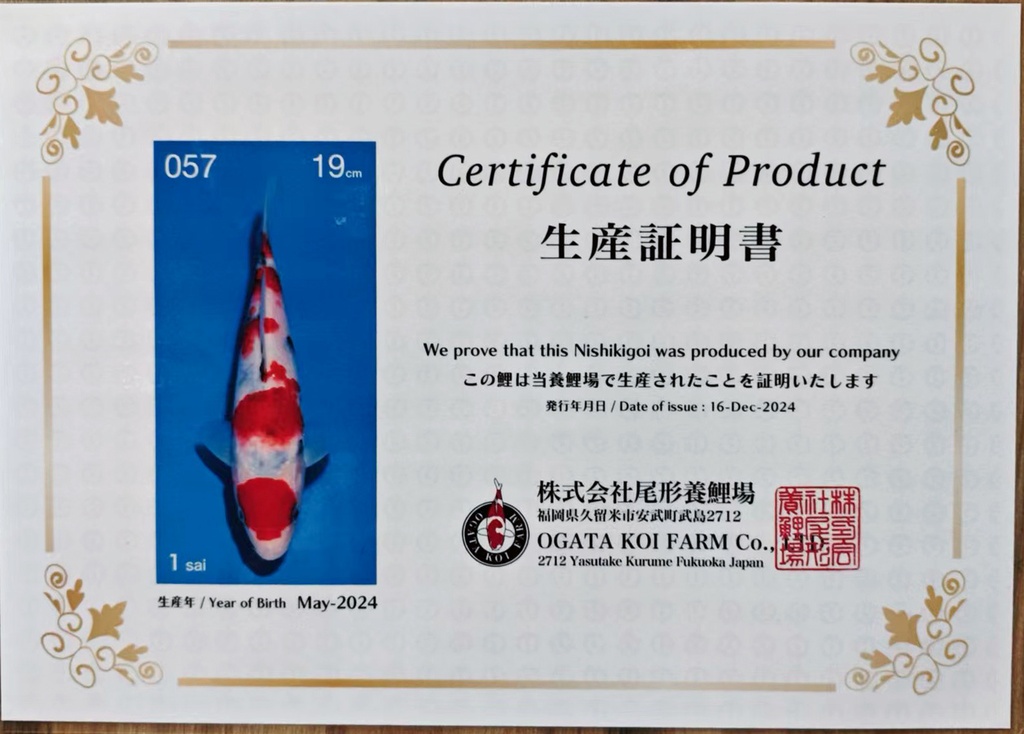 微信图片_202503131717082.jpg