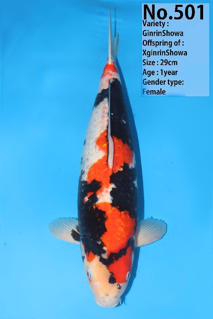 345005 (副本) (副本) (副本) (副本) (副本) (副本) (副本) (副本) (副本) (副本) (副本) (副本) (副本) (副本) (副本) (副本) (副本) (副本) (副本)