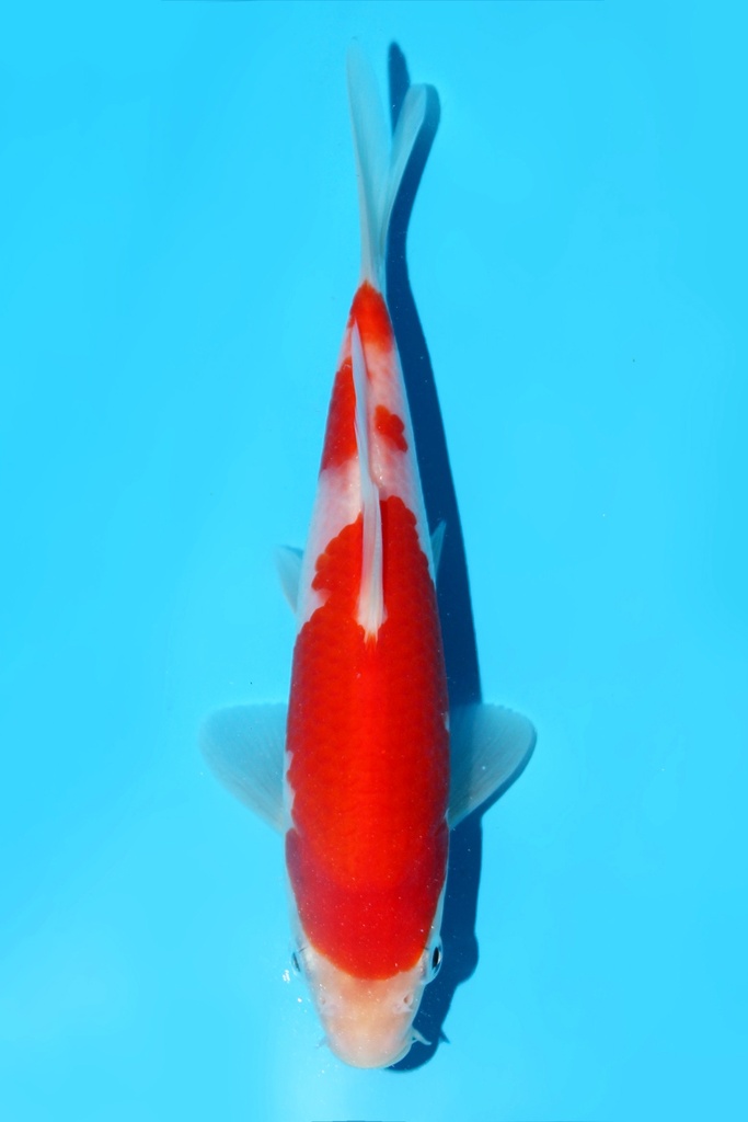 345005 (副本) (副本) (副本) (副本) (副本) (副本) (副本) (副本) (副本) (副本)