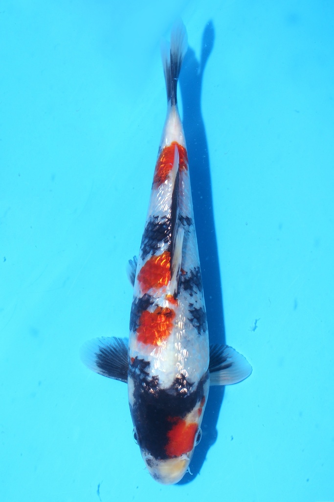 348050 (副本) (副本) (副本) (副本) (副本) (副本) (副本) (副本) (副本) (副本) (副本) (副本) (副本) (副本) (副本) (副本) (副本) (副本) (副本) (副本) (副本) (副本) (副本) (副本) (副本) (副本) (副本) (副本) (副本) (副本) (副本) (副本) (副本) (副本) (副本) (副本) (副本) (副本) (副本) (副本) (副本) (副本) (副本) (副本) (副本) (副本)