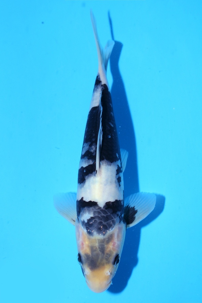 348050 (副本) (副本) (副本) (副本) (副本) (副本) (副本) (副本) (副本) (副本) (副本) (副本) (副本) (副本) (副本) (副本) (副本) (副本) (副本) (副本) (副本) (副本) (副本) (副本) (副本) (副本) (副本) (副本) (副本) (副本) (副本) (副本) (副本) (副本) (副本) (副本) (副本) (副本) (副本) (副本) (副本) (副本) (副本) (副本) (副本) (副本) (副本) (副本)