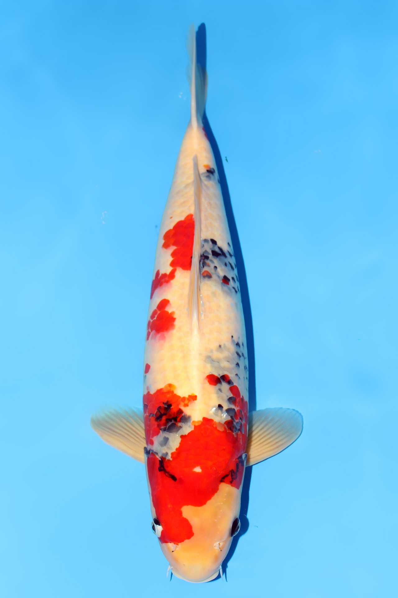 344028