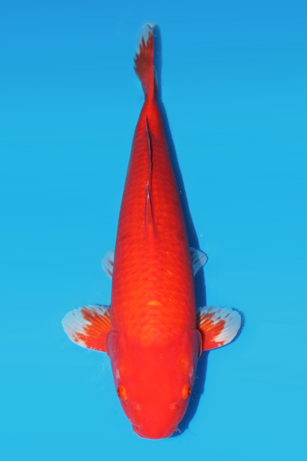 338060
